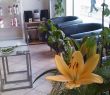 Wartebereich Malibu Hair Styling - Ihr freundlicher Friseur in Neuss
